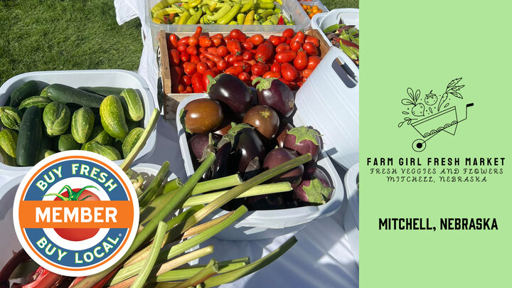 Member Spotlight photo for Farm Girl Fresh Market featuring fresh rhubarb, cucumbers, eggplant, tomatoes, and banana peppers