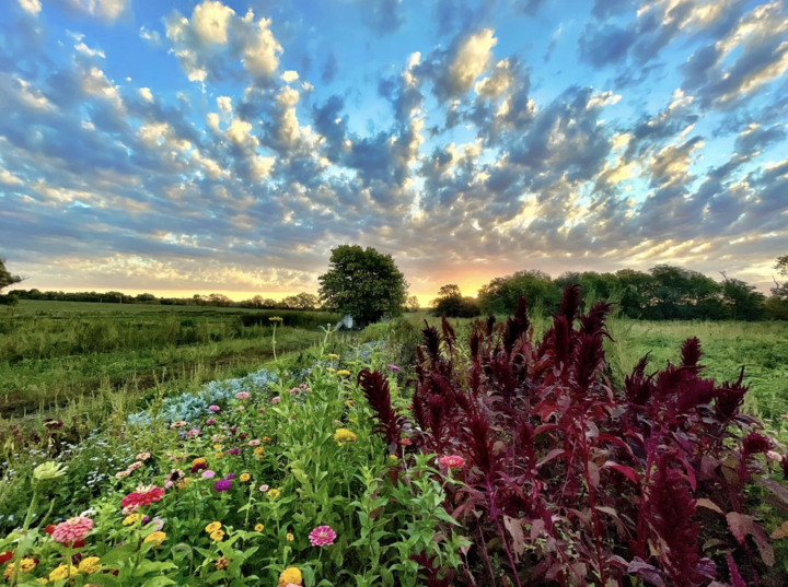 ShadowBrooke farm at sunset
