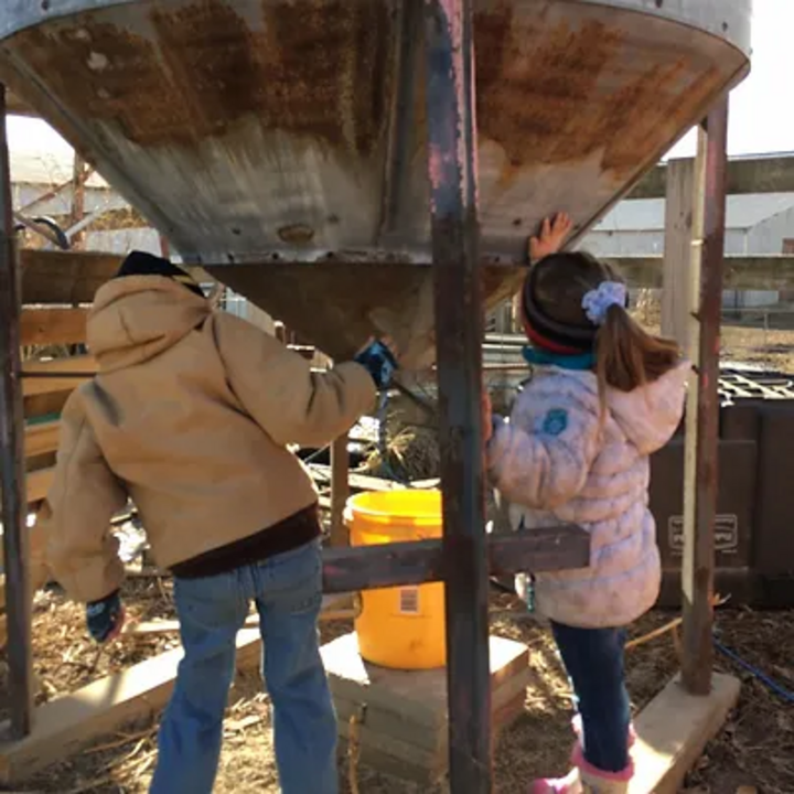 Children helping do chores on the farm